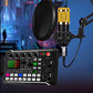 🔥🎁New arrival 50% OFFLive Streaming Audio Set with Microphone🎤