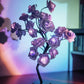 📢📢50% OFF！！⏰🌹Rose Flower Design Tree Night Light🌟